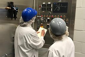 Food safety in the plant